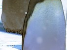 https://image.noelshack.com/fichiers/2012/25/1340284704-34bc3d39b720118382db973a565e0e0b.png