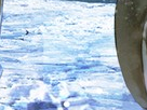 https://image.noelshack.com/fichiers/2012/25/1340284707-65958f94c609839f5d231321e467c89e.png