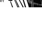 https://image.noelshack.com/fichiers/2012/25/1340284717-9d1713639b9a44773cf48447feeaf417.png