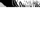 https://image.noelshack.com/fichiers/2012/25/1340284718-137d429016feda186f2b7128cf68e580.png