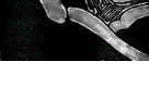 https://image.noelshack.com/fichiers/2012/25/1340284869-a7cf465ef9fafb020e975794cb395d28.png