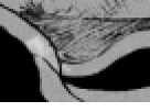 https://image.noelshack.com/fichiers/2012/25/1340285340-ed8b138a794d4f0e7d7bfee9402bd696.png