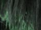 https://image.noelshack.com/fichiers/2012/25/1340286441-cab8eb6849e9ed014ca89736710a9d34.png