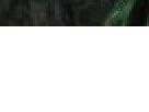 https://image.noelshack.com/fichiers/2012/25/1340286448-a30d528b9157a93dfc5f06fd39293379.png
