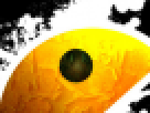 https://image.noelshack.com/fichiers/2012/25/1340287060-214e134f2675bcd367a661368d282ec1.png