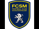 https://image.noelshack.com/fichiers/2012/25/1340289037-FCSM.jpg