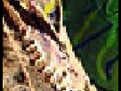 https://image.noelshack.com/fichiers/2012/25/1340292922-prepareyou1_part2x4.jpg