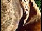 https://image.noelshack.com/fichiers/2012/25/1340292922-prepareyou1_part3x4.jpg