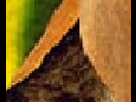 https://image.noelshack.com/fichiers/2012/25/1340292923-prepareyou1_part5x1.jpg