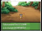 https://image.noelshack.com/fichiers/2012/25/1340308928-Chimpenfeu.png