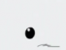 https://image.noelshack.com/fichiers/2012/25/1340319867-2f9fc227758c8375bfd10a1447c195cf.png