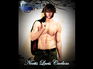 https://image.noelshack.com/fichiers/2012/25/1340320535-_noctis_lucis_caelum__by_nicegal1-d2xig11.png