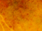 https://image.noelshack.com/fichiers/2012/25/1340340090-cc55240cacda04bea57bc4effd97dc42.png