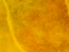 https://image.noelshack.com/fichiers/2012/25/1340340090-fef5ca9d1ff51d7f7382ae062de08267.png