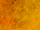 https://image.noelshack.com/fichiers/2012/25/1340340091-df09a82ca51e508f0809ac91a27998e9.png