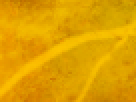https://image.noelshack.com/fichiers/2012/25/1340340106-e83e059afe0a7c50376f67079fe43839.png