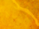 https://image.noelshack.com/fichiers/2012/25/1340340107-7c29d1035571e3a37152e358d793ba5c.png