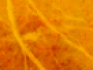 https://image.noelshack.com/fichiers/2012/25/1340340125-1a7ab388407abe21260f3c7620215318.png