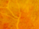 https://image.noelshack.com/fichiers/2012/25/1340340126-12191c6bc76f92bbf3881a56fd9de255.png