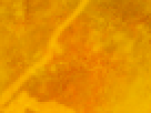 https://image.noelshack.com/fichiers/2012/25/1340340126-6225f3d5476050249d4c10635bdcf62f.png