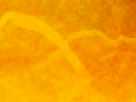https://image.noelshack.com/fichiers/2012/25/1340340126-a9a8ef9cacd3df039493b759f4608af4.png