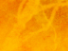 https://image.noelshack.com/fichiers/2012/25/1340340142-6edfc0de3bd7d520ab04a0c32c178c81.png
