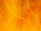 https://image.noelshack.com/fichiers/2012/25/1340340142-b705c19a6a1be68ee3e90898f6709bad.png