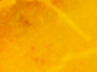 https://image.noelshack.com/fichiers/2012/25/1340340143-6920fcab4feaf93f9943d799ad282269.png