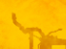 https://image.noelshack.com/fichiers/2012/25/1340340143-d307d613cfc9fb08f03b3d1b7150f9bf.png