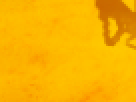 https://image.noelshack.com/fichiers/2012/25/1340340175-5eacffae8091c165360504943603e96b.png