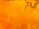 https://image.noelshack.com/fichiers/2012/25/1340340176-6ae319cdb13c1a741f90417b7dc0a4de.png