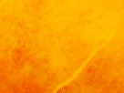 https://image.noelshack.com/fichiers/2012/25/1340340193-0d82df95b2dedc4044f40646b9cf13fc.png