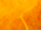 https://image.noelshack.com/fichiers/2012/25/1340340193-109cb537bf9a571f06086289b18c28aa.png