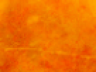 https://image.noelshack.com/fichiers/2012/25/1340340193-665ae58ce9c3138bd6532dbb75563a17.png
