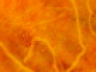 https://image.noelshack.com/fichiers/2012/25/1340340194-61ff73fd28c75ec8a1840821208e5916.png