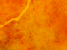 https://image.noelshack.com/fichiers/2012/25/1340340209-b2eba3012b72c97c6bc938727dbdd408.png