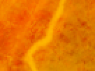 https://image.noelshack.com/fichiers/2012/25/1340340210-7449bd05e8afa0201b96593330821282.png