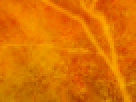 https://image.noelshack.com/fichiers/2012/25/1340340210-e3fea80eb738472ef1f11defdb28f00d.png