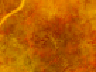 https://image.noelshack.com/fichiers/2012/25/1340340211-95501160cf5ab29736577fbde2a942c5.png