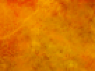 https://image.noelshack.com/fichiers/2012/25/1340340211-caa7fc9855152bdebeeba2ba3fd9bd8a.png