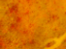 https://image.noelshack.com/fichiers/2012/25/1340340226-116bb3e51a344b4a51119af6f9e15dc5.png