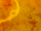 https://image.noelshack.com/fichiers/2012/25/1340340226-1aa015e59ea9925b1ff3732a43f8dcf0.png