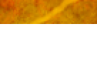 https://image.noelshack.com/fichiers/2012/25/1340340227-6ce063d6b39864ffa83bbfc7510733d5.png