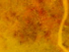 https://image.noelshack.com/fichiers/2012/25/1340340227-750577befa3e1036579ace04c02e88a0.png