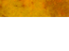 https://image.noelshack.com/fichiers/2012/25/1340340243-2b71549d62286d305e9f223769014718.png
