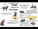 https://image.noelshack.com/fichiers/2012/25/1340351886-Chats.jpg