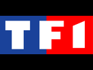 https://image.noelshack.com/fichiers/2012/25/1340357447-logo-tf1.jpg