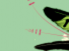 https://image.noelshack.com/fichiers/2012/25/1340358905-f29bc4eae61c461f553ad77b403f1ce5.png