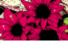 https://image.noelshack.com/fichiers/2012/25/1340358987-273051f2ffb97a1ad43fc526208f58c3.png