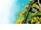 https://image.noelshack.com/fichiers/2012/25/1340359066-393d506d3da2ad0bb5f7528f1f1522a9.png